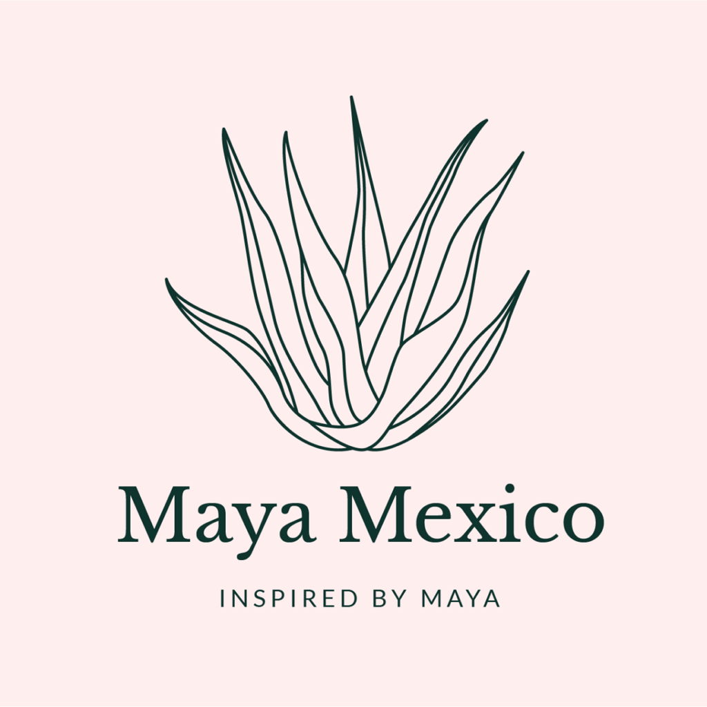 MAYA MEXICO活動報告書公開のお知らせ