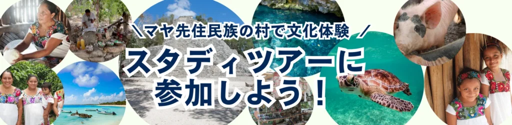 スタディツアーの販売を開始しました